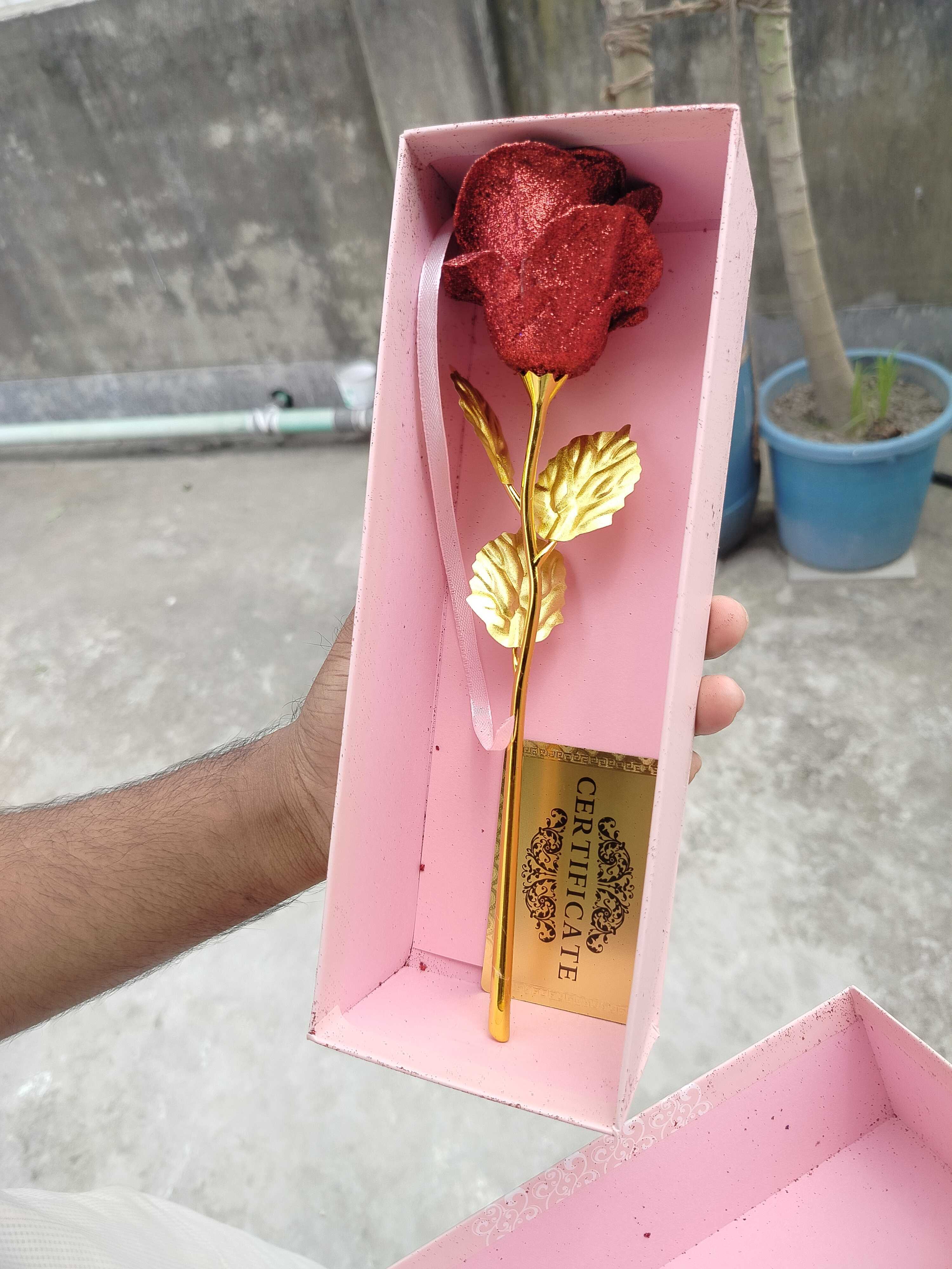 রিভিউ ছবি
